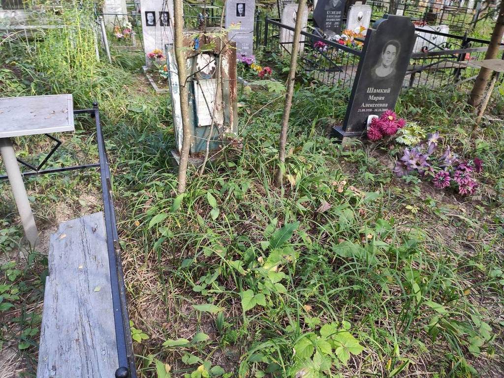 Вольнова Антонина Михайловна