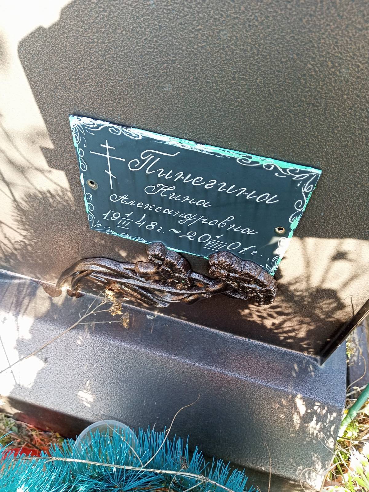 Пинегина Нина Александровна