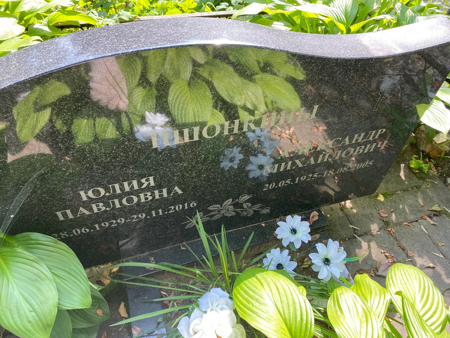 Пшонкин