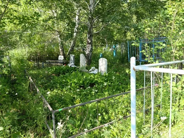 Захарова Анастасия
