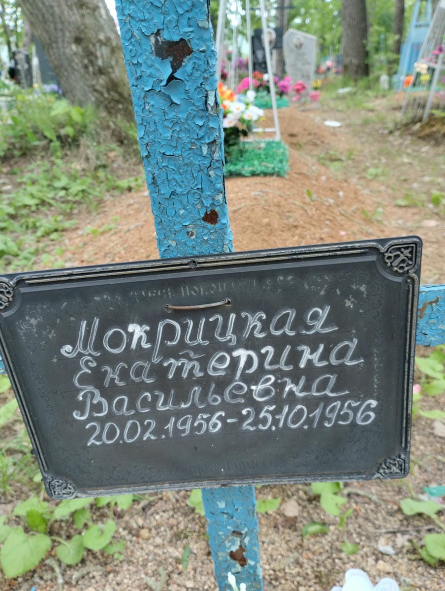 Мокрицкая Екатерина Васильевна