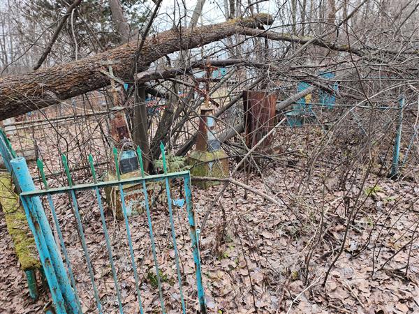 Владимирова Прасковья
