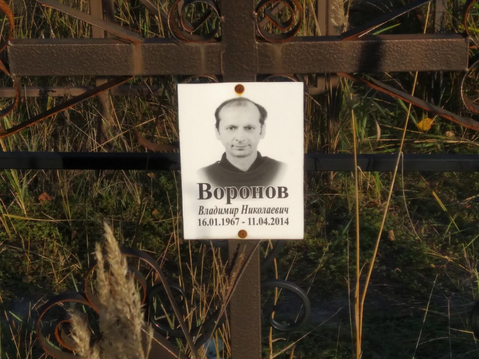 Воронов Владимир Николаевич