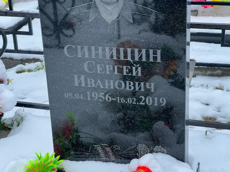 Синицин