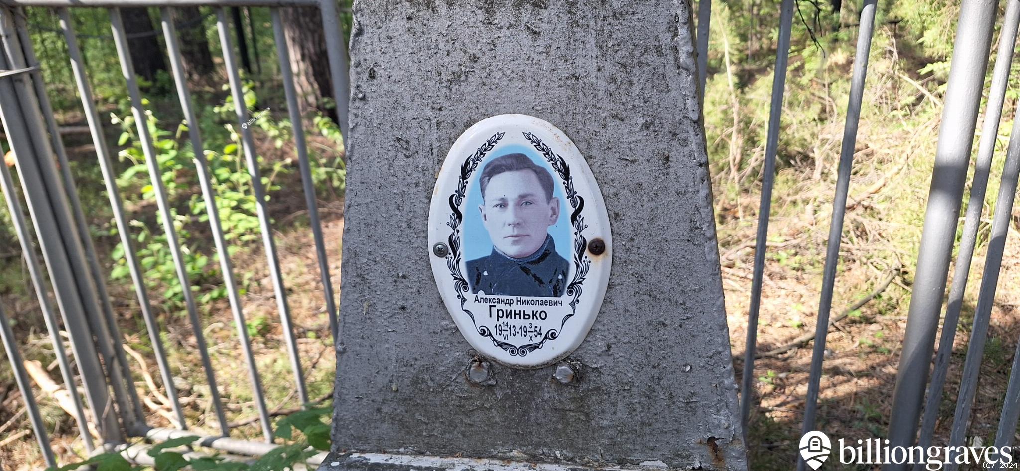 Гринько Александр Николаевич