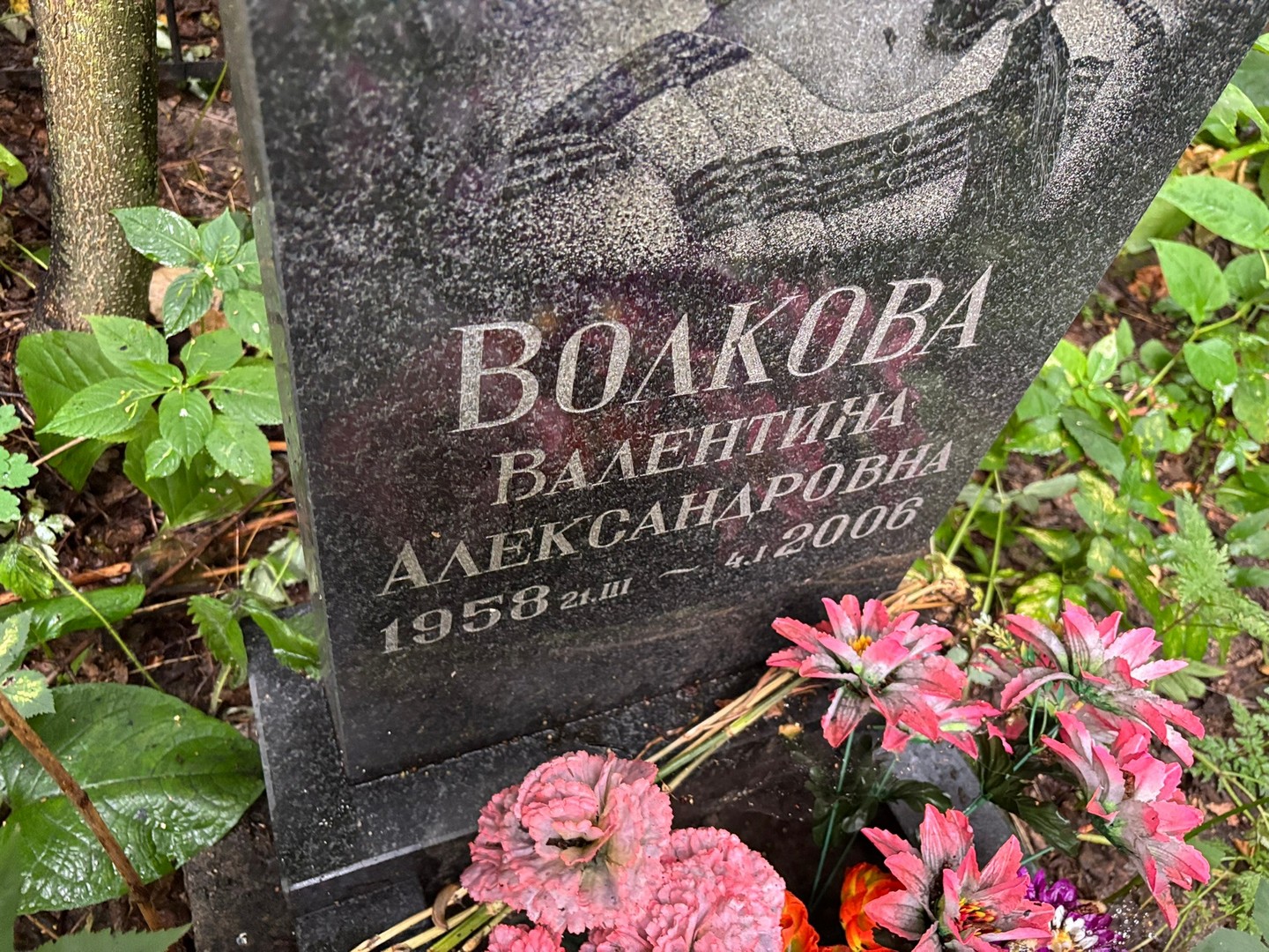 Волкова
