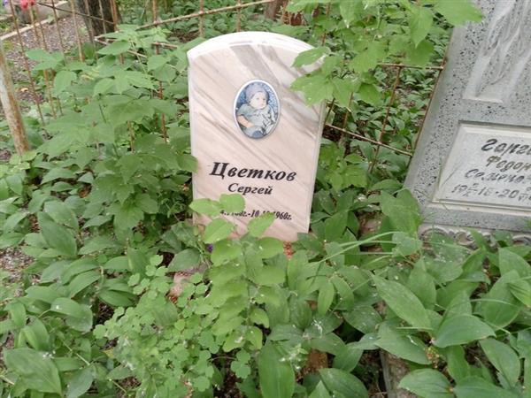 Цветков Сергей