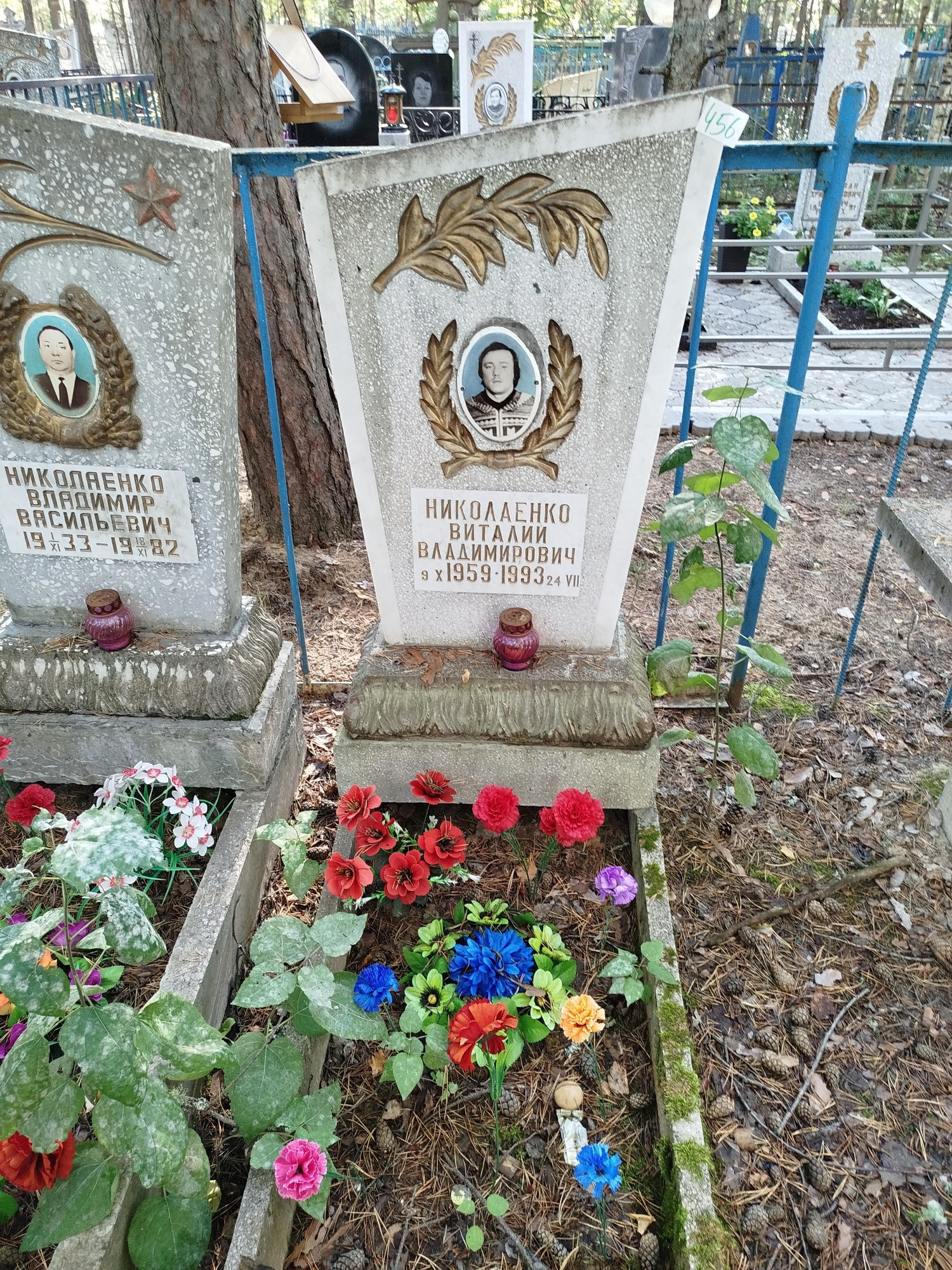 Николаенко Виталий Владимирович