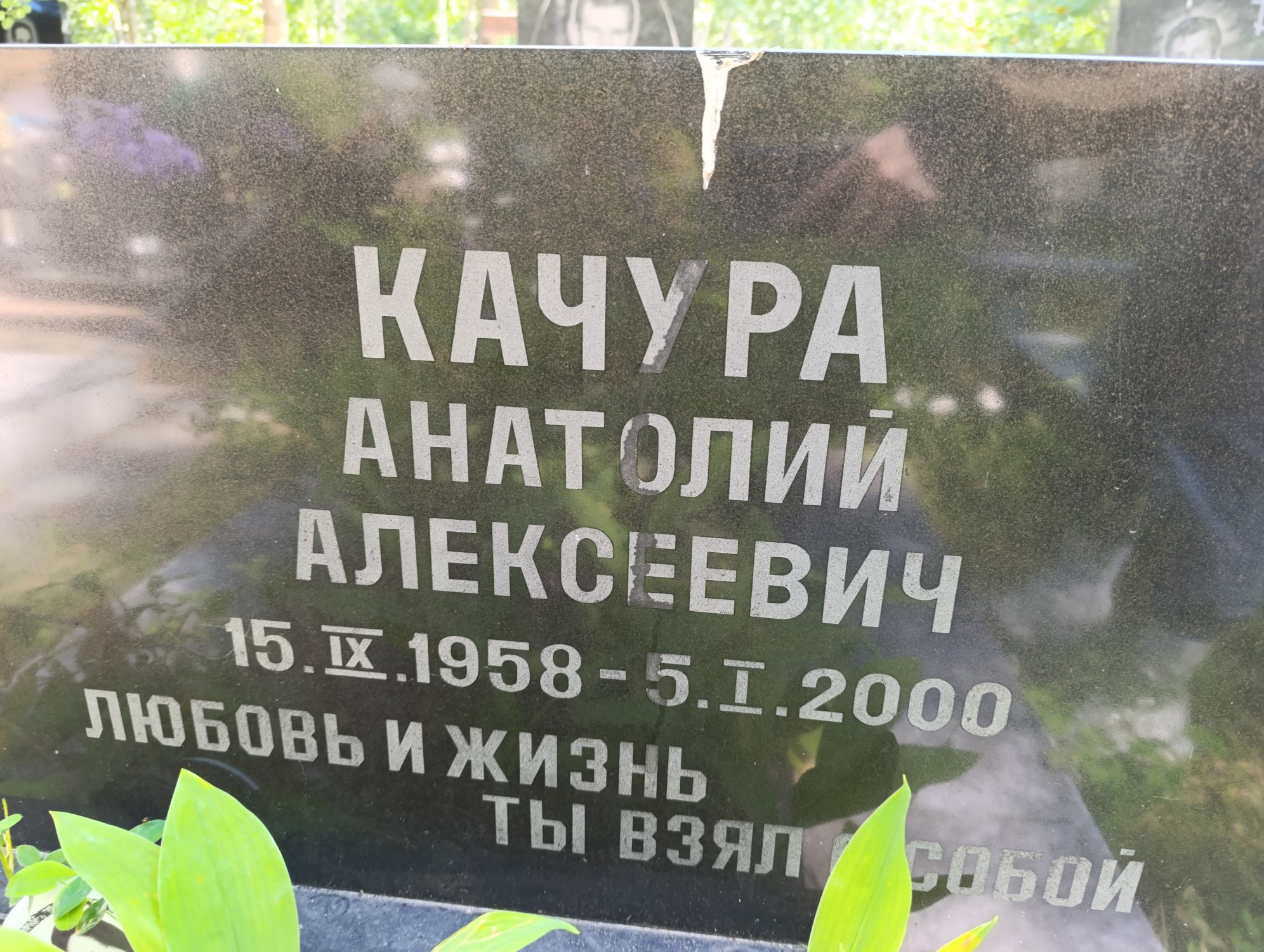 Качура Анатолий Алексеевич