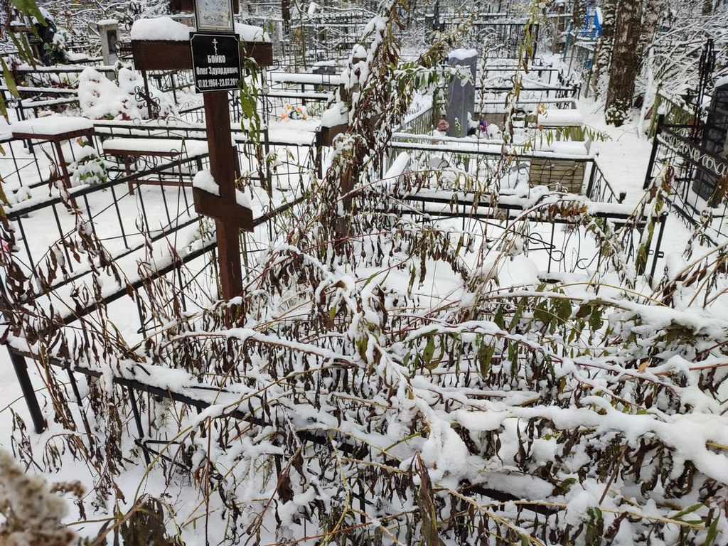 Бойко Олег Эдуардович