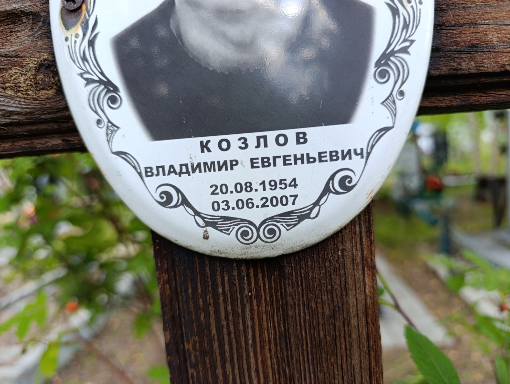 Козлов Владимир Евгеньевич