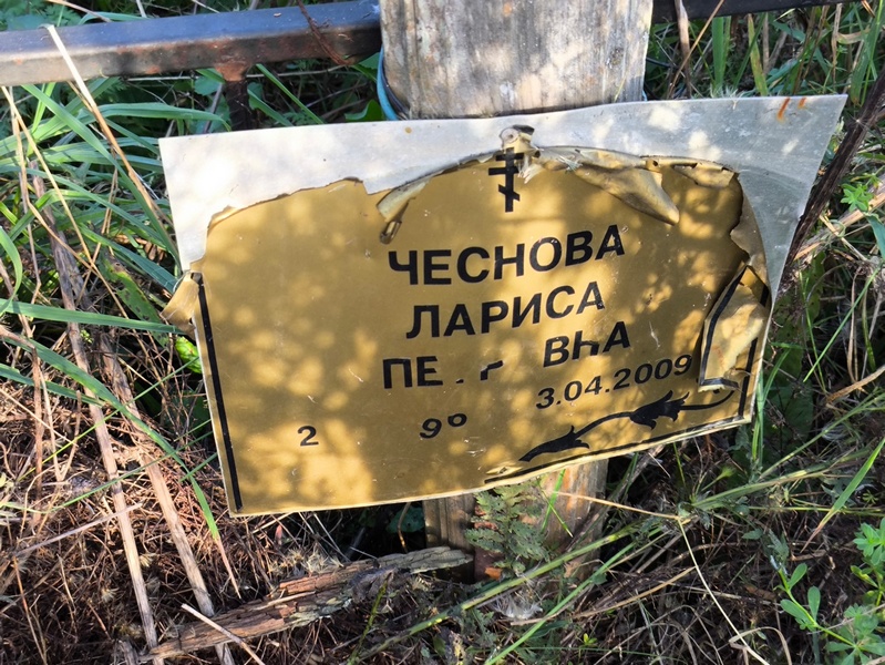 Чеснова