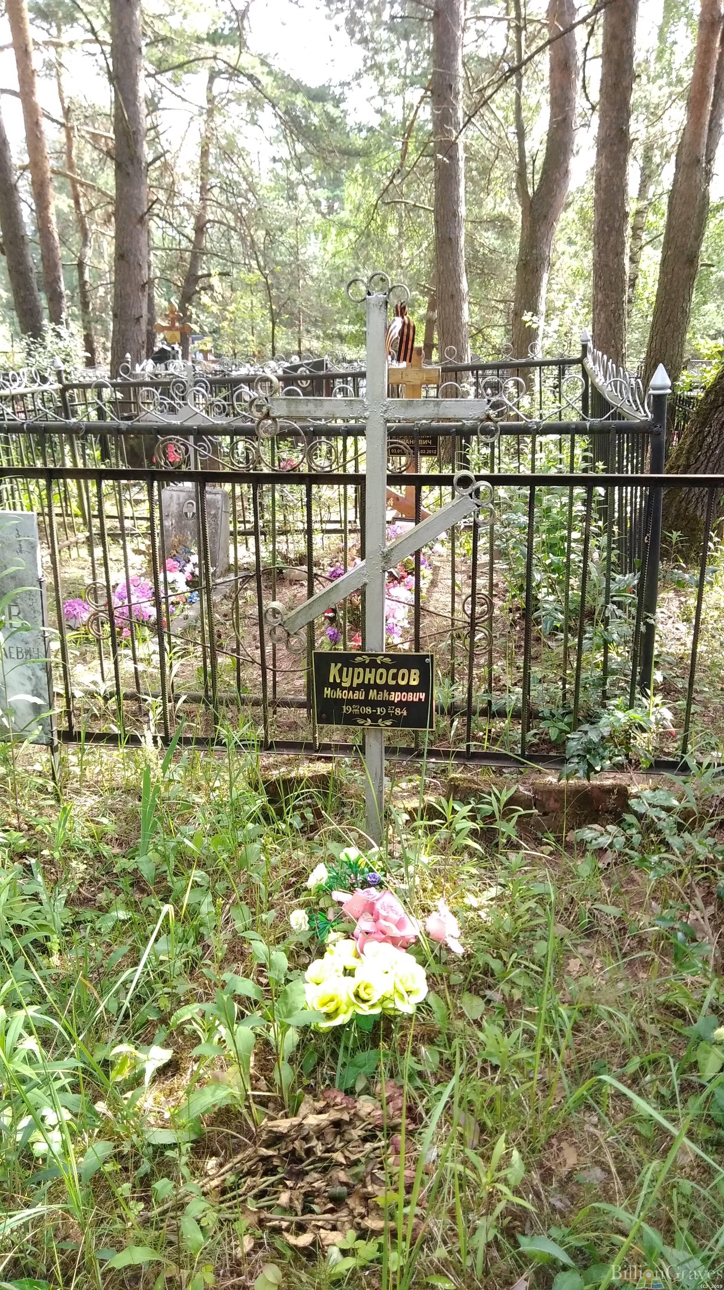 Курносов Николай Макарович