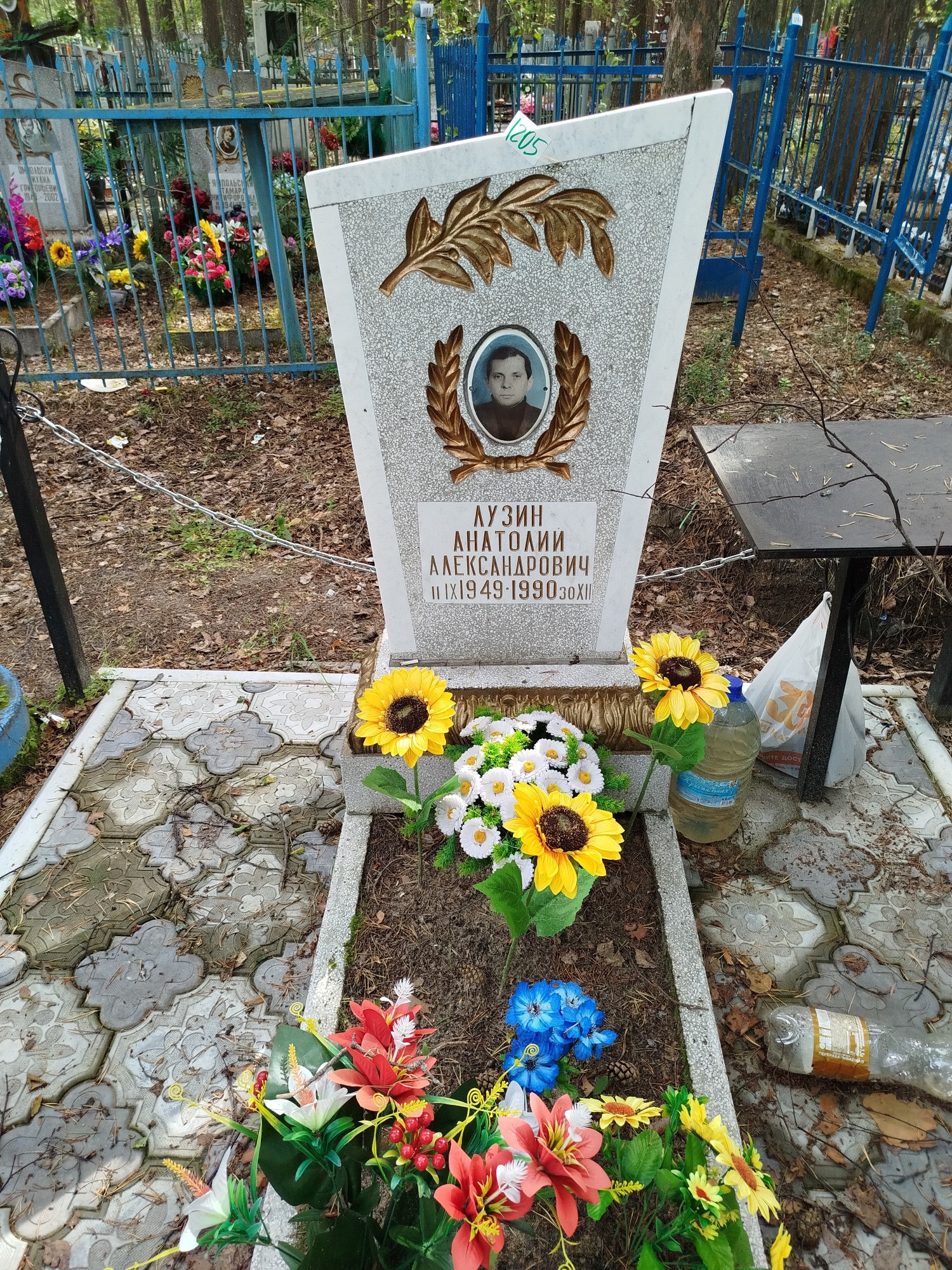 Лузин Анатолий Александрович