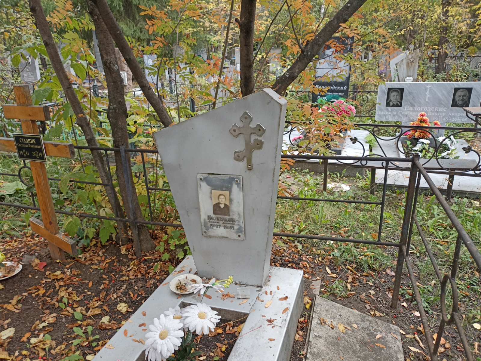 Моховикова Анастасия Николаевна