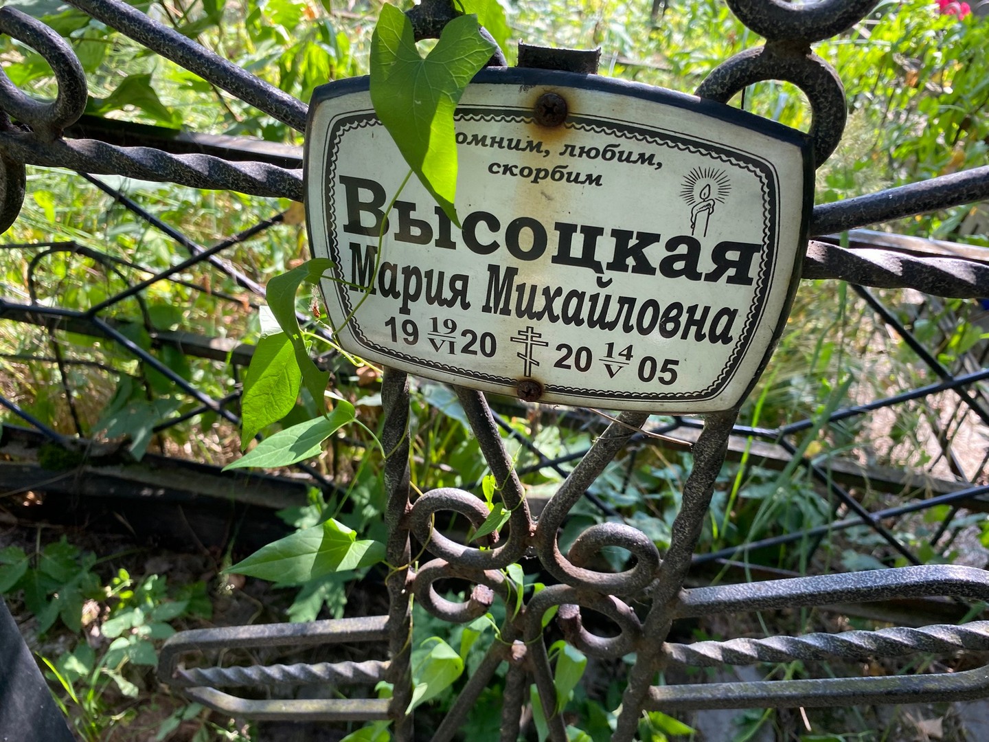 Высоцкая