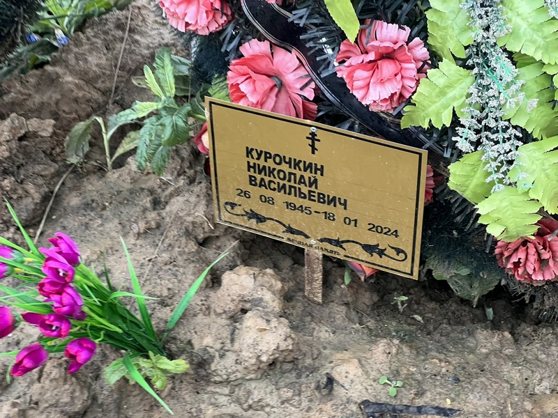 Курочкин