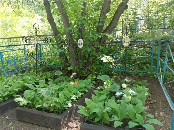 Пустовалов Павел