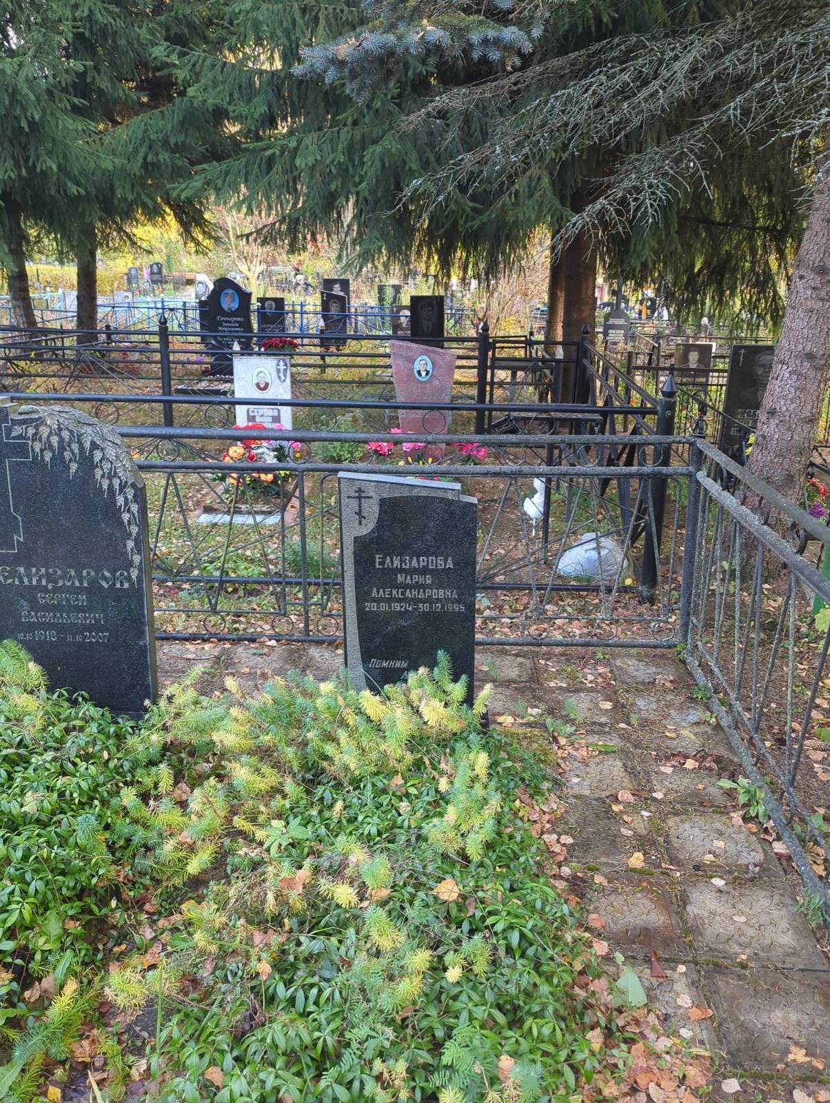 Елизарова Мария Александровна