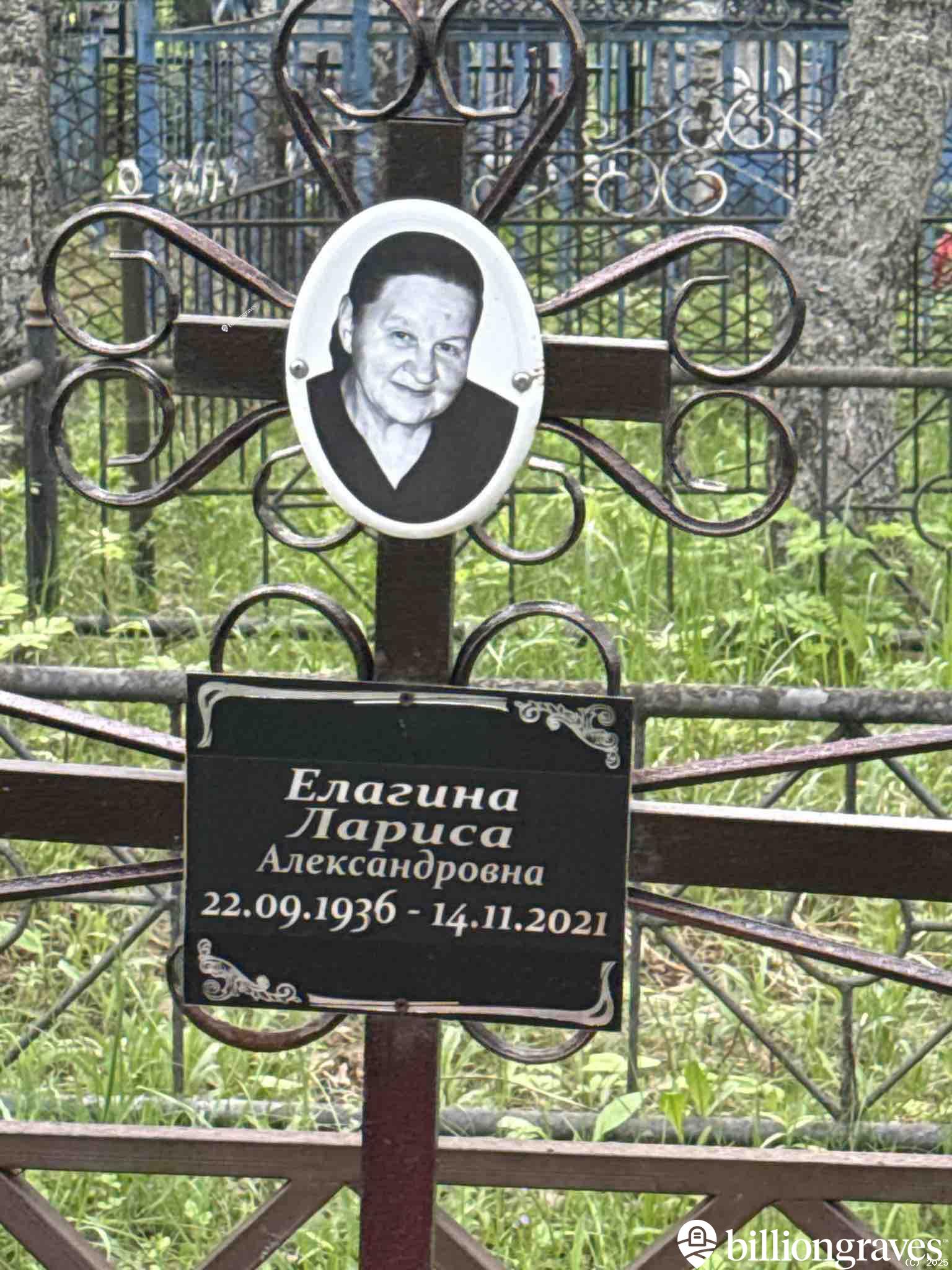 Елагина Лариса Александровна