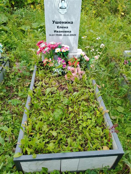 Ушенина Елена Ивановна