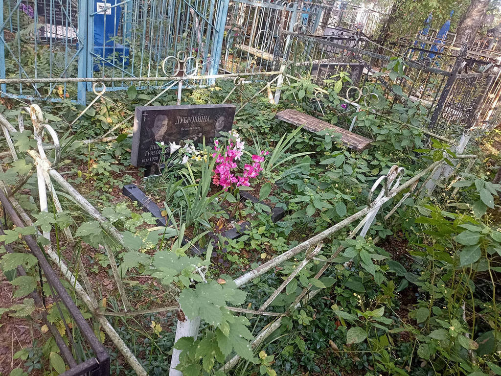 Дубровина Нина Владимировна