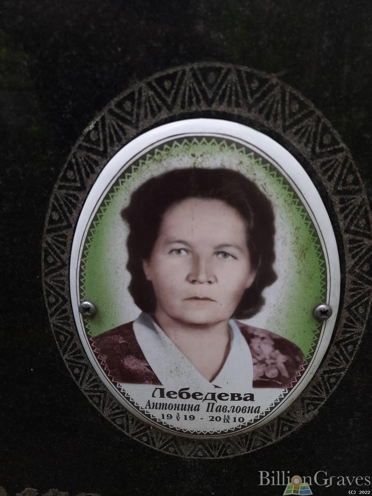 Модин Дмитрий