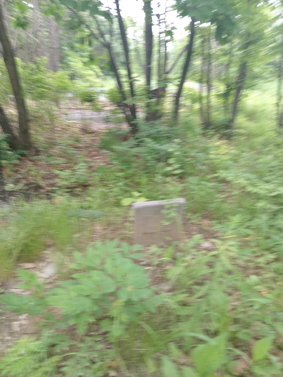 Игумнова