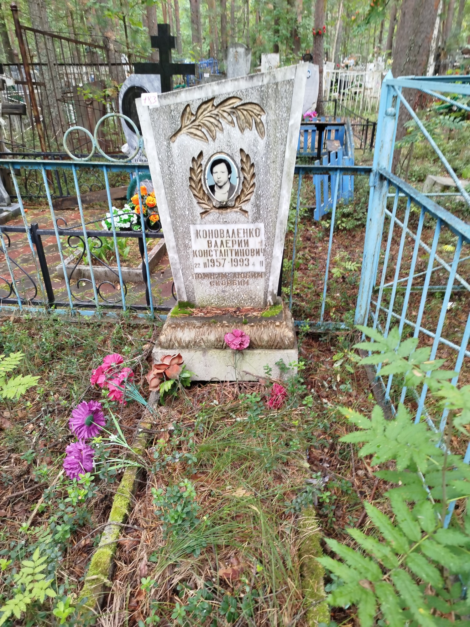 Коноваленко Валерий Констанинович