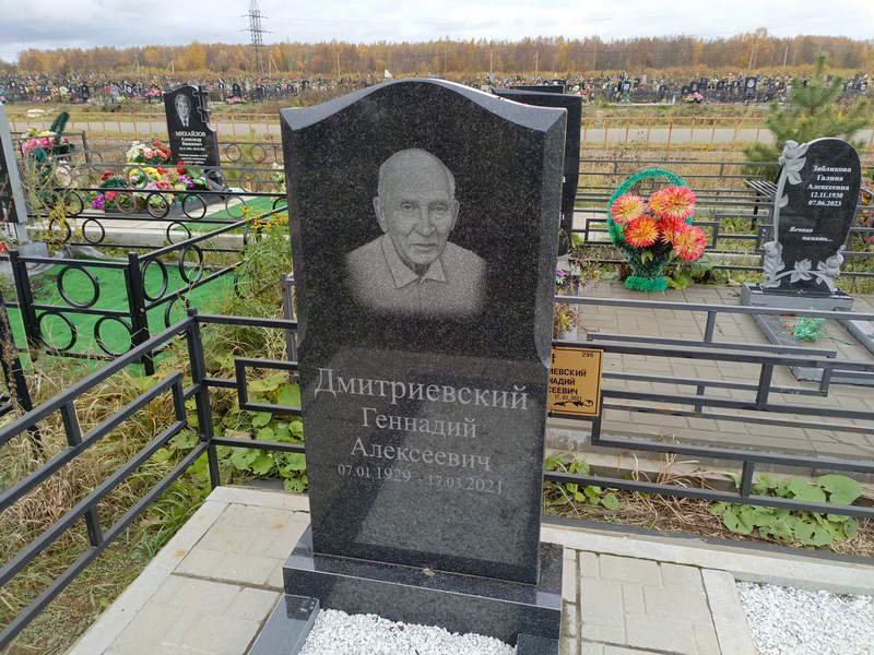 Дмитриевский