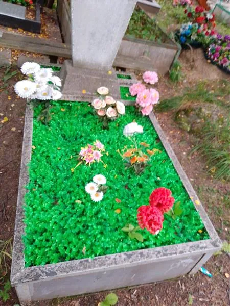 Решетникова Екатерина