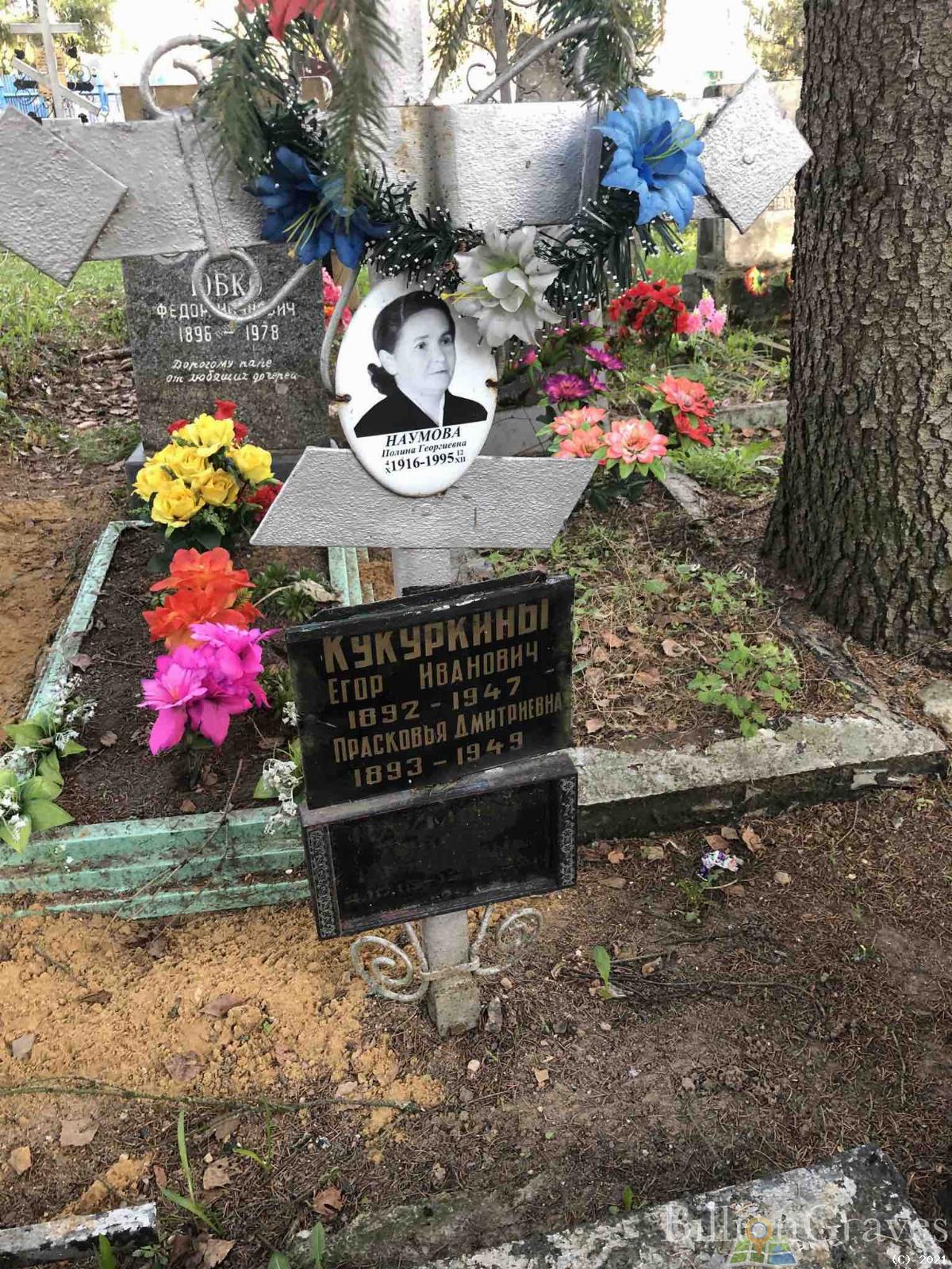 Наумова Полина Георгиевна