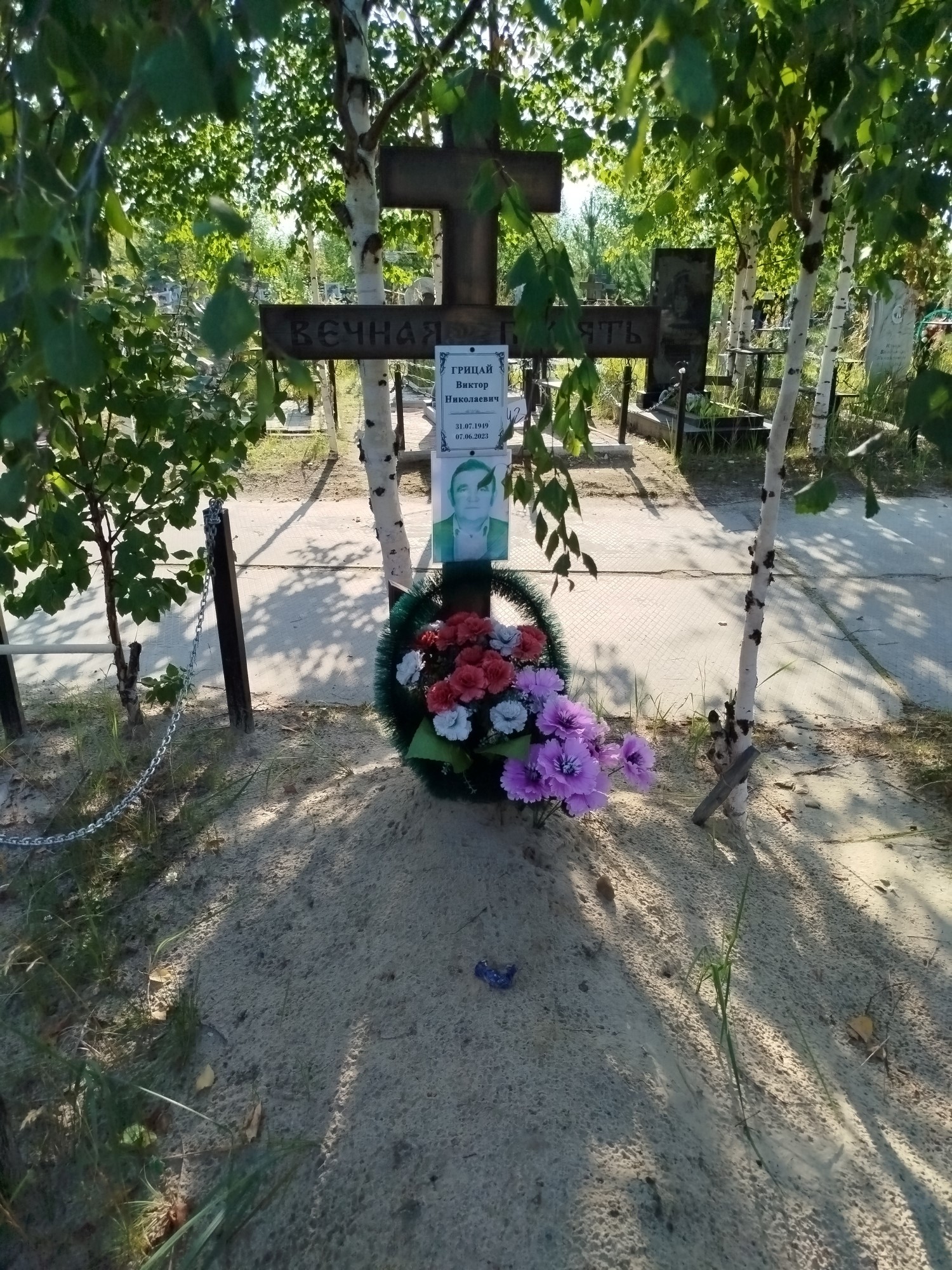 Грицай Виктор Николаевич