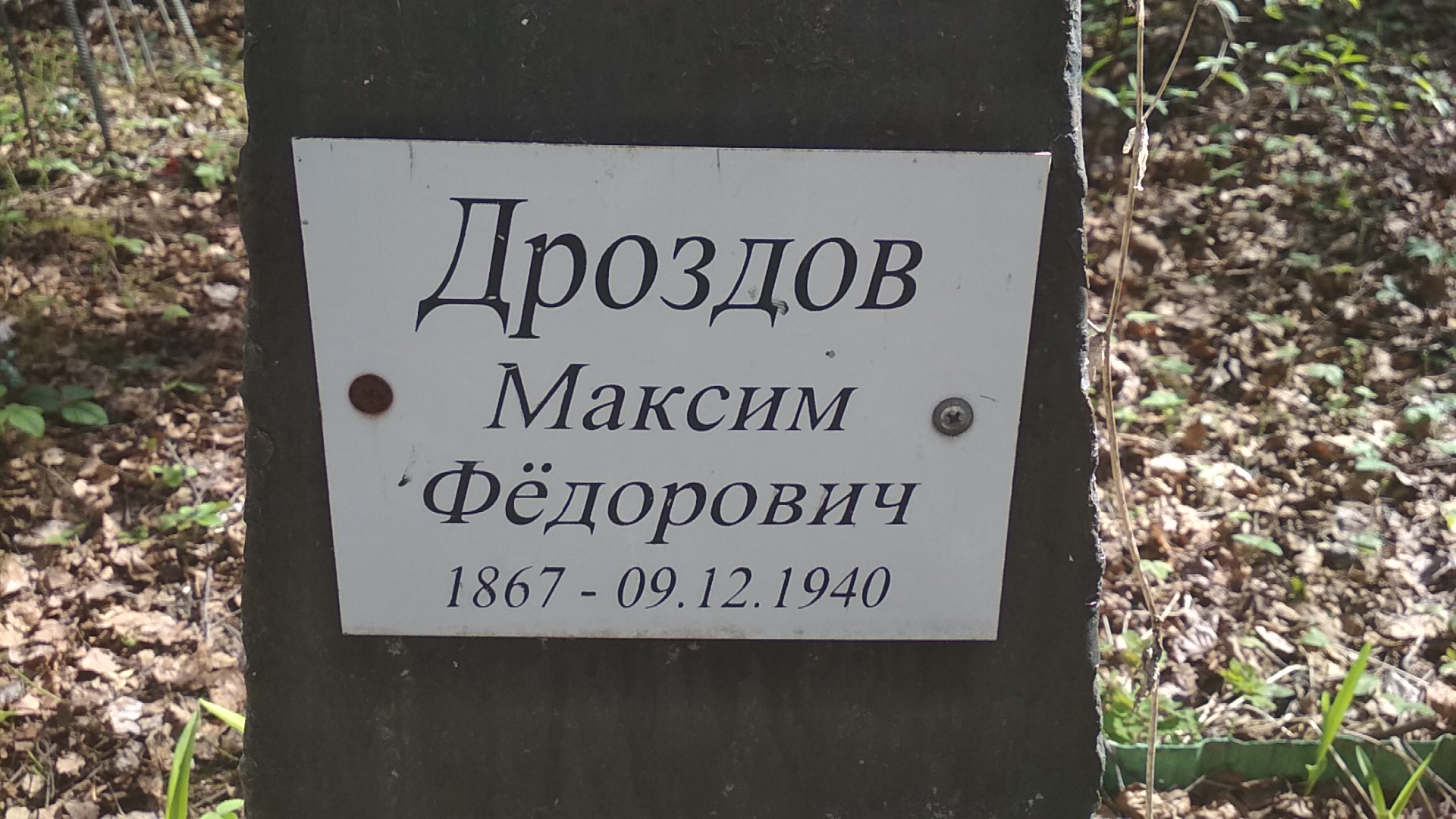 Дроздов Максим