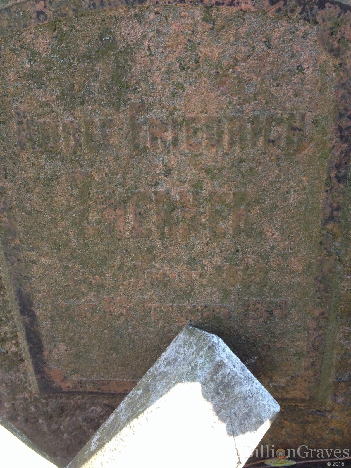 Zwerner Adolf Friedrich