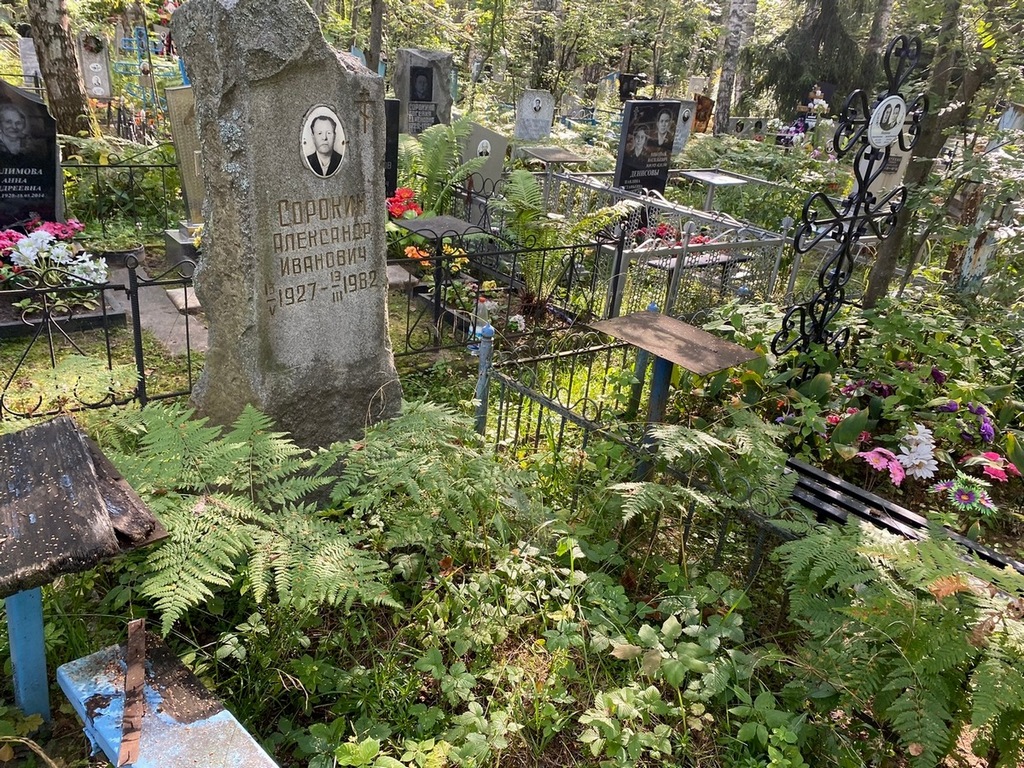 Сорокин Александр Иванович