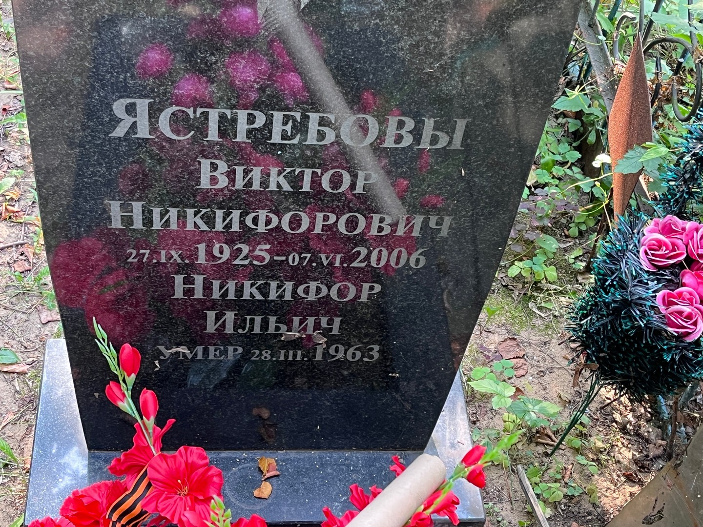 Ястребов