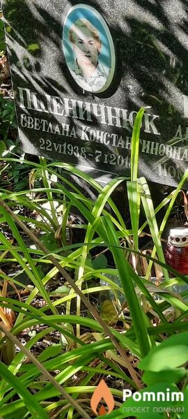 Пшеничнюк Светлана Константиновна