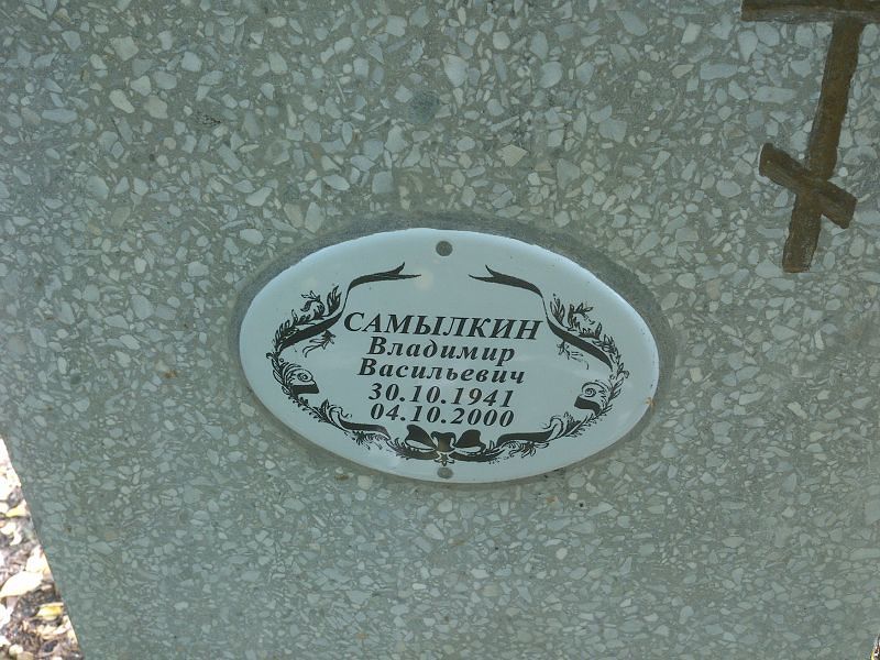 Самылкин