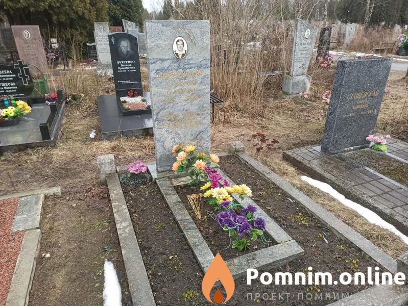 Шпилевский Владмир Генрихович
