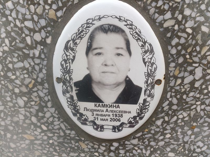Камкина