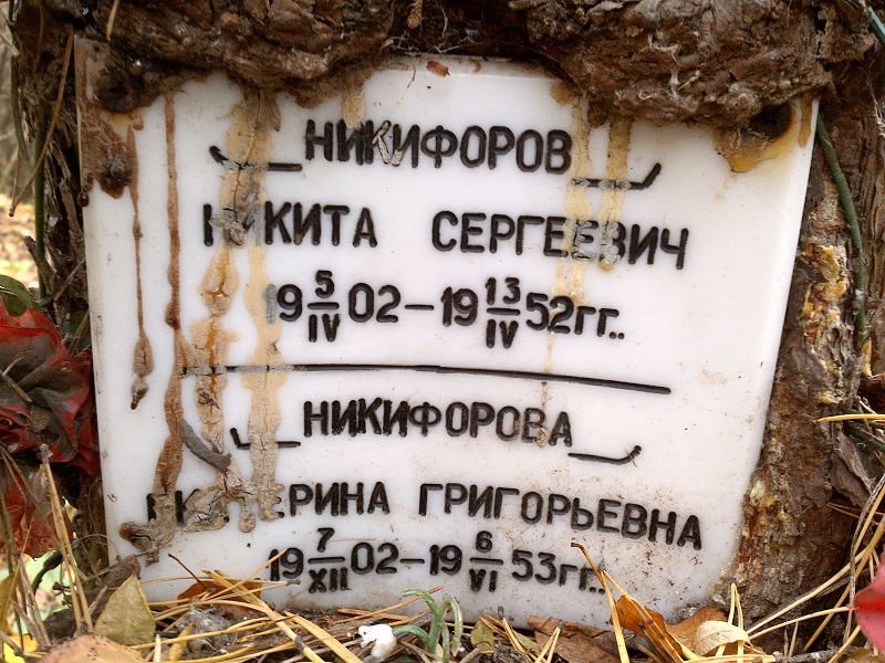 Никифорова
