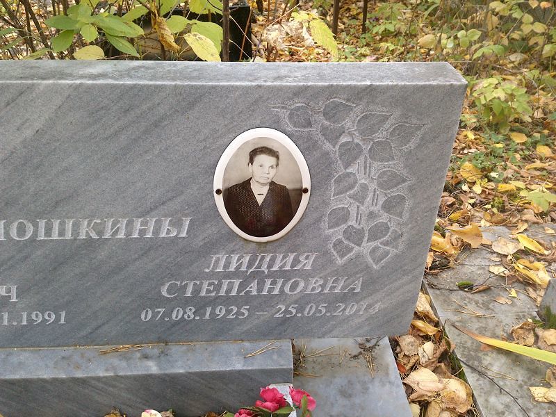 Мошкина