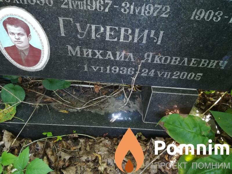 Гуревич Михаил Яковлевич