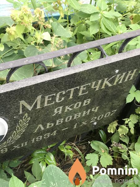 Местечкин Яков Львович
