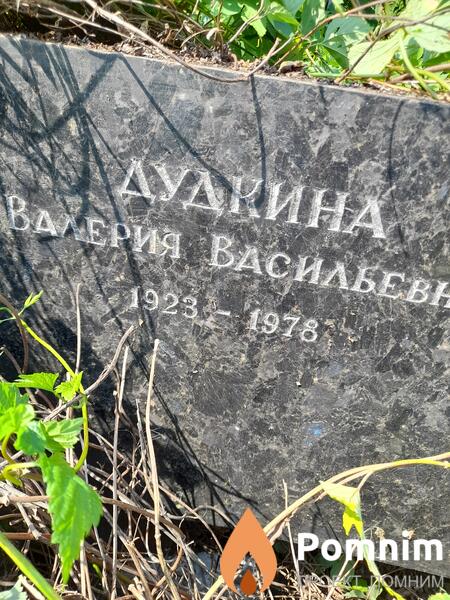 Дудкина Валерия Васильевна