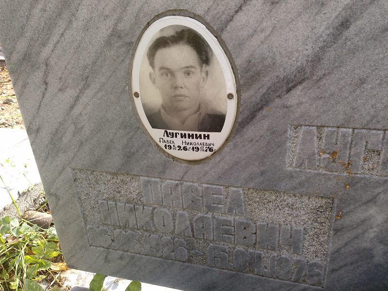 Лугинин