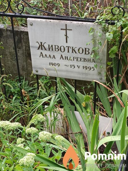 Животкова Алла Андреевна