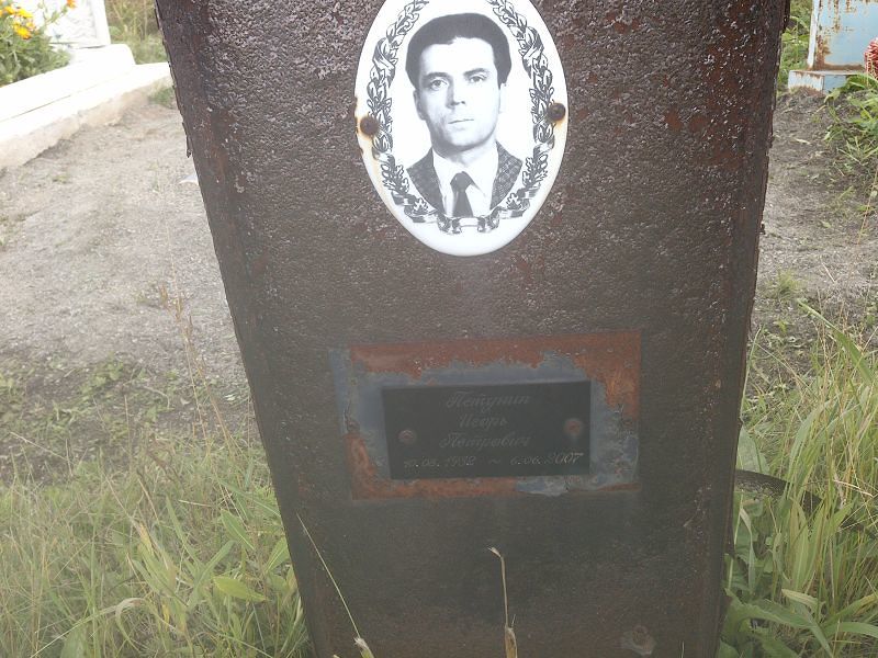Петунин