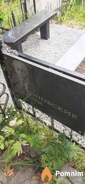 Устиновские Владимир Владимирович